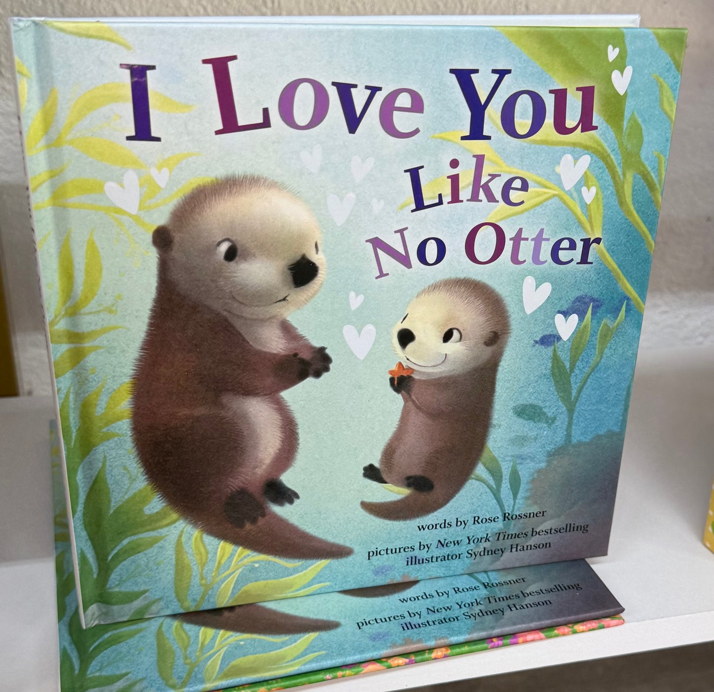 I Love You Like No Otter Book
