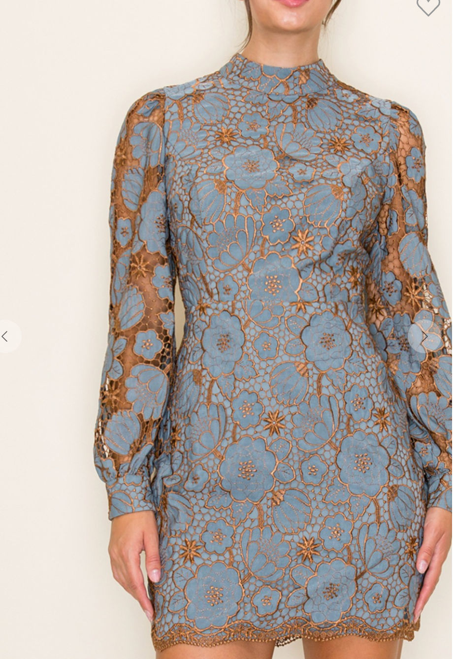 Dusty Blue/Bronze Long Sleeve Dress