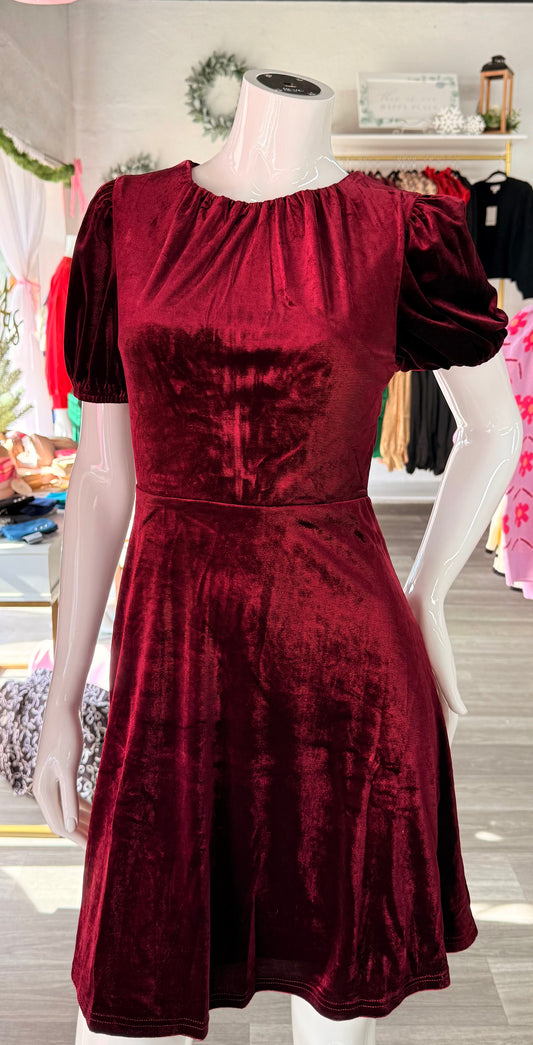Let's Party Velvet Dress