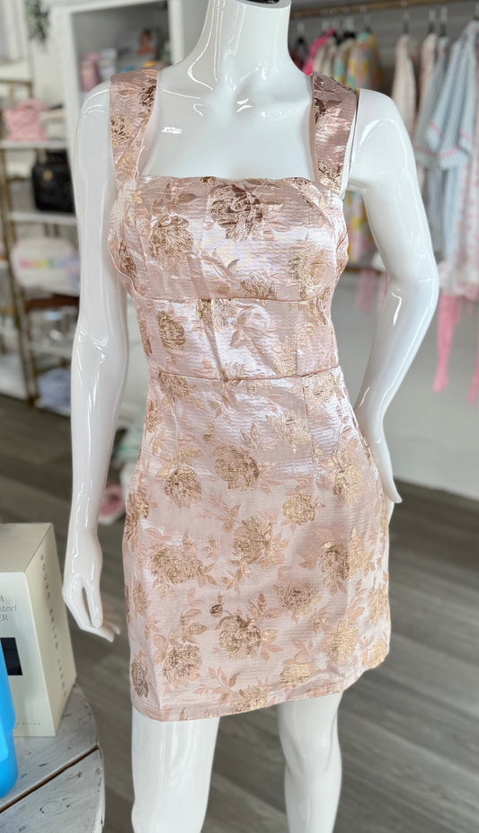 Blush & Champagne Gold Dress