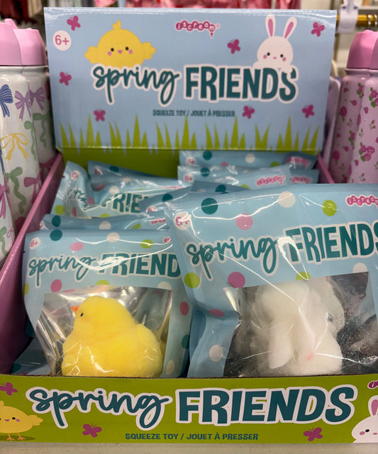 Spring Friends Squishy Toys
