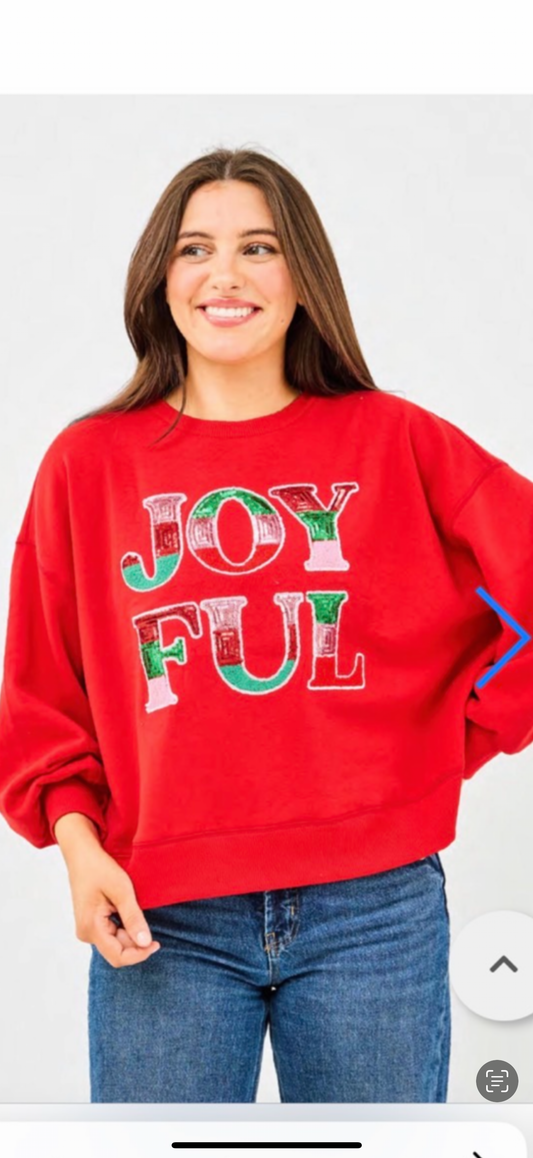 Joyful Sequin Sweatshirt